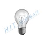 Photo: Glühlampe SIG 230V/100W E27